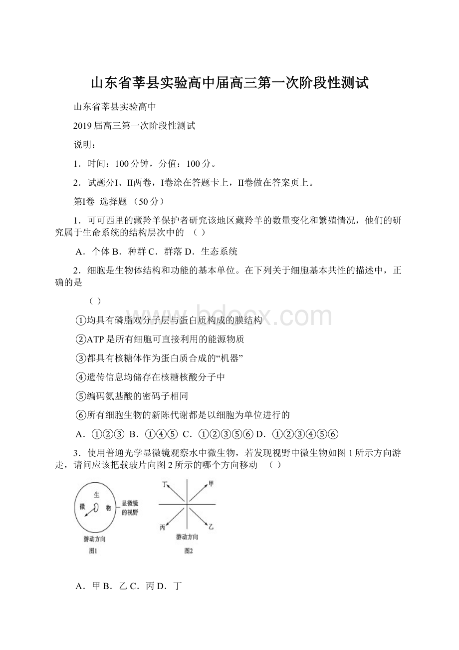 山东省莘县实验高中届高三第一次阶段性测试.docx_第1页