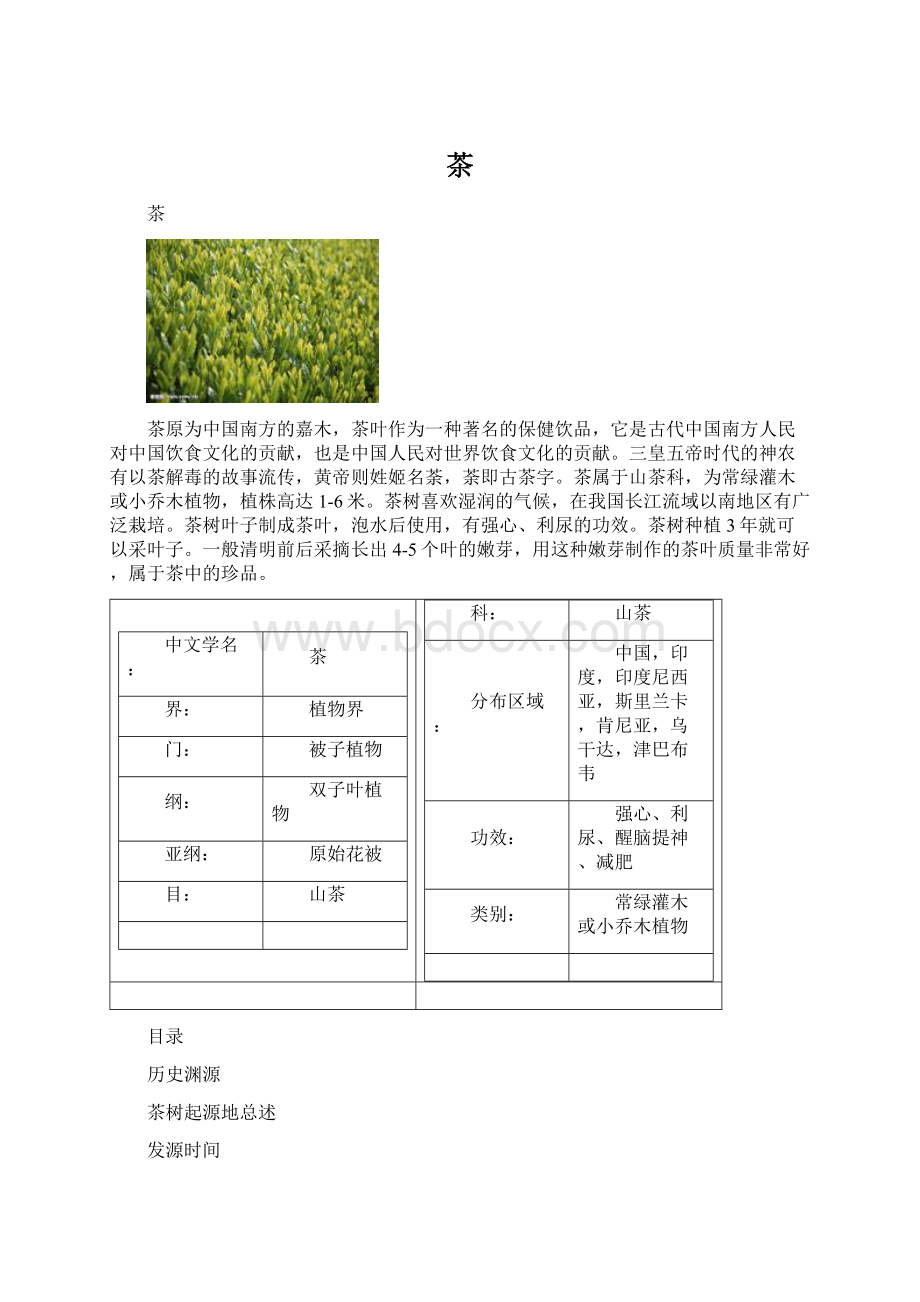 茶Word格式文档下载.docx