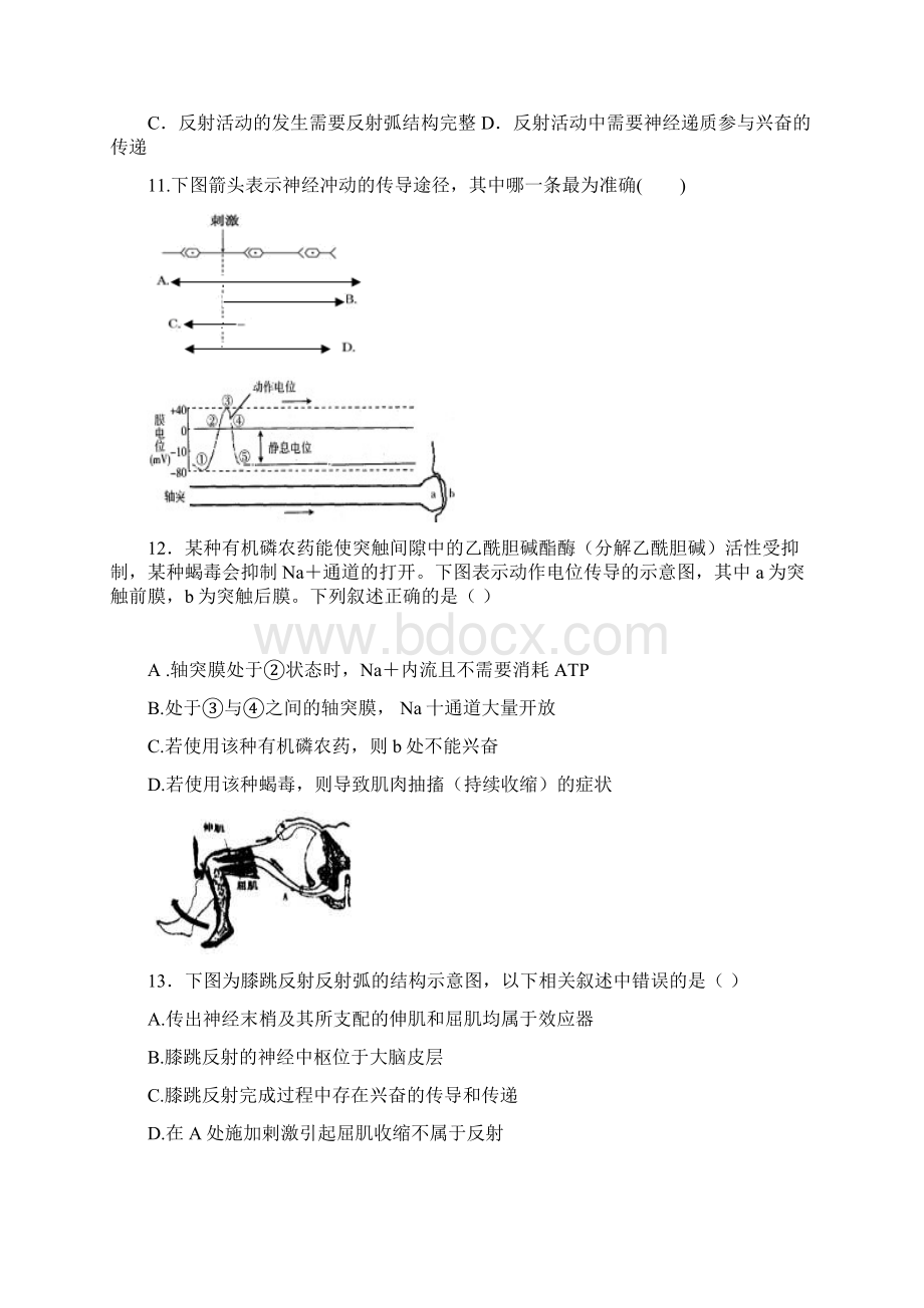 河北省衡水中学高二上学期二调考试 生物试题含答案Word文档格式.docx_第3页