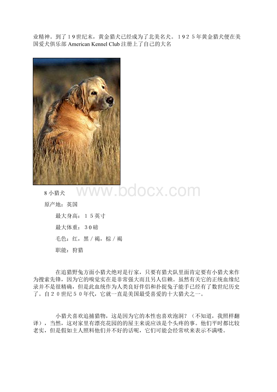 世界十大名犬.docx_第3页