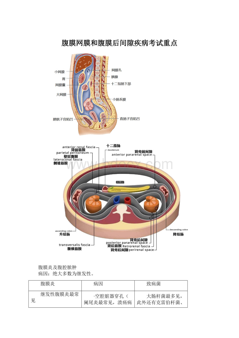 腹膜网膜和腹膜后间隙疾病考试重点文档格式.docx_第1页