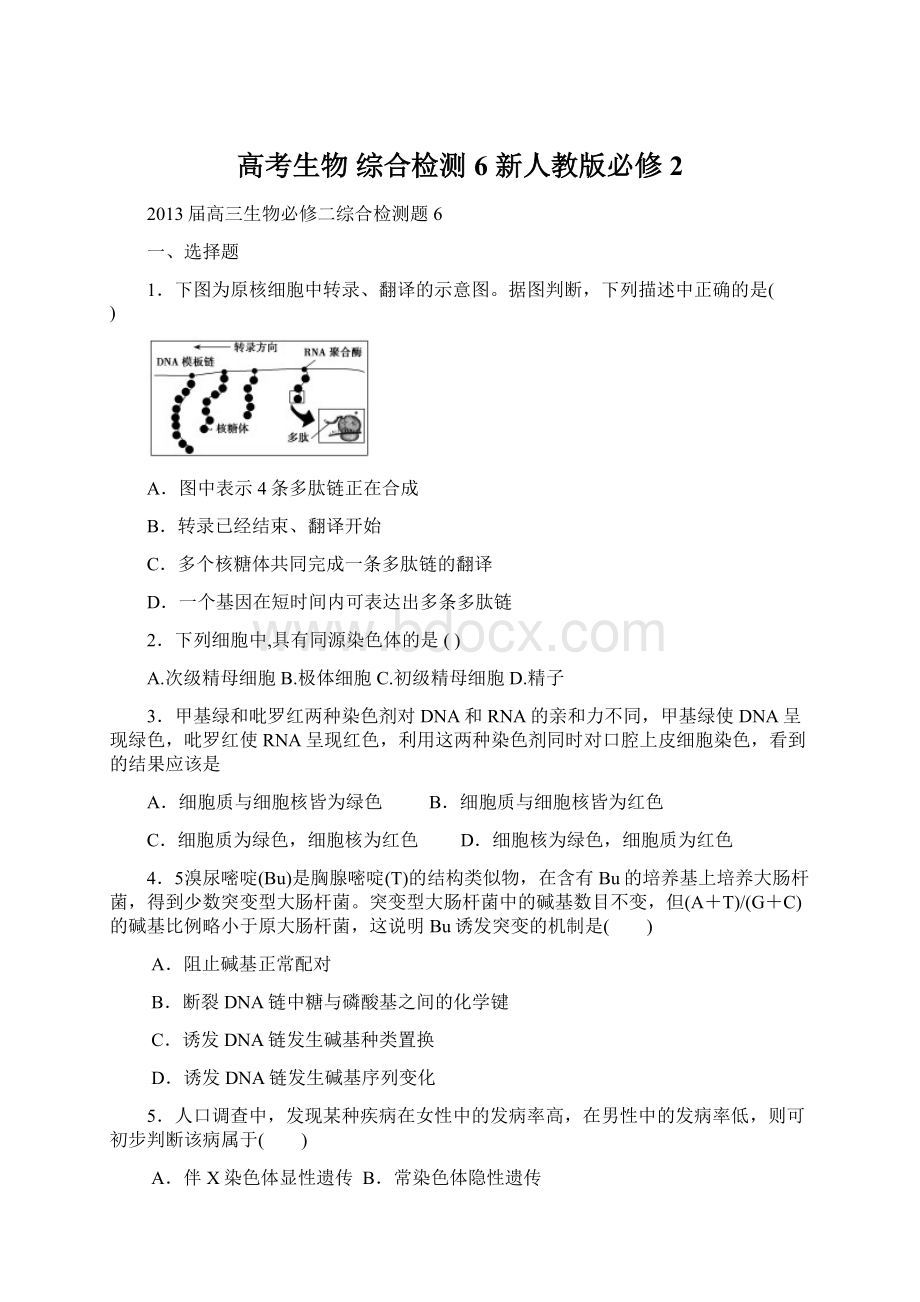 高考生物 综合检测6 新人教版必修2.docx