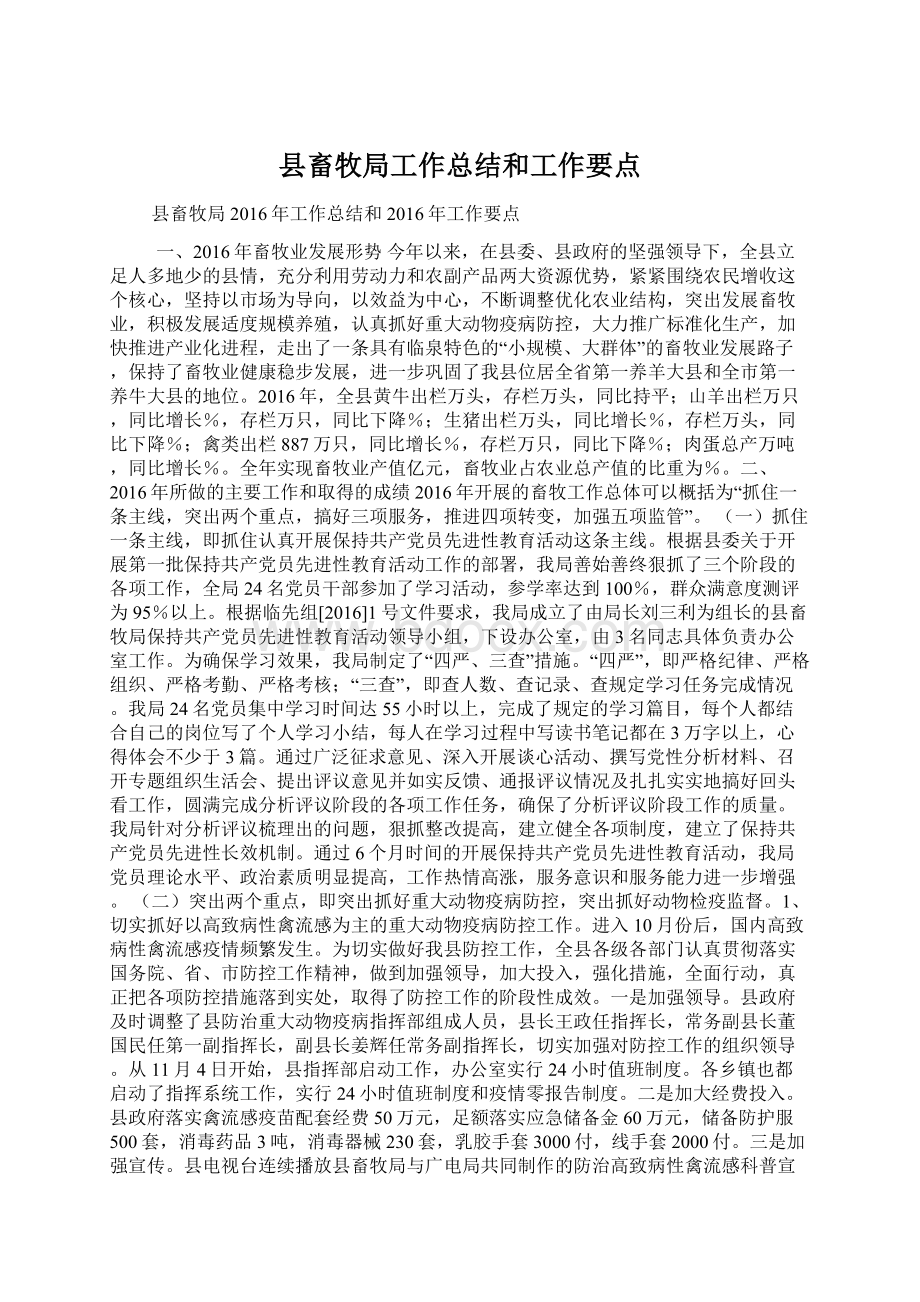 县畜牧局工作总结和工作要点Word文档格式.docx