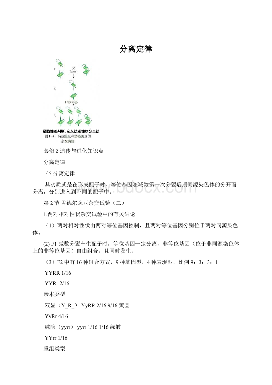 分离定律.docx_第1页