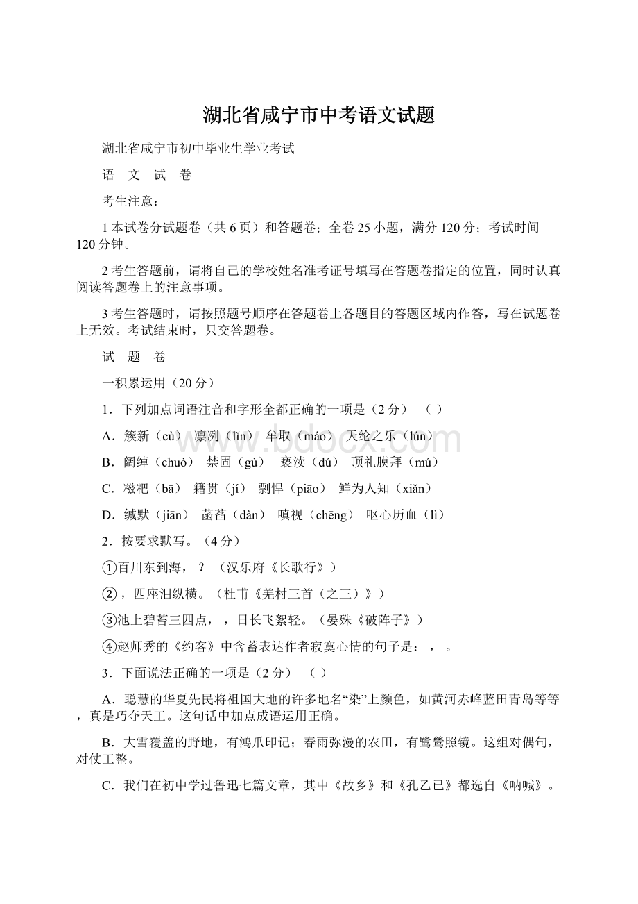 湖北省咸宁市中考语文试题Word格式文档下载.docx