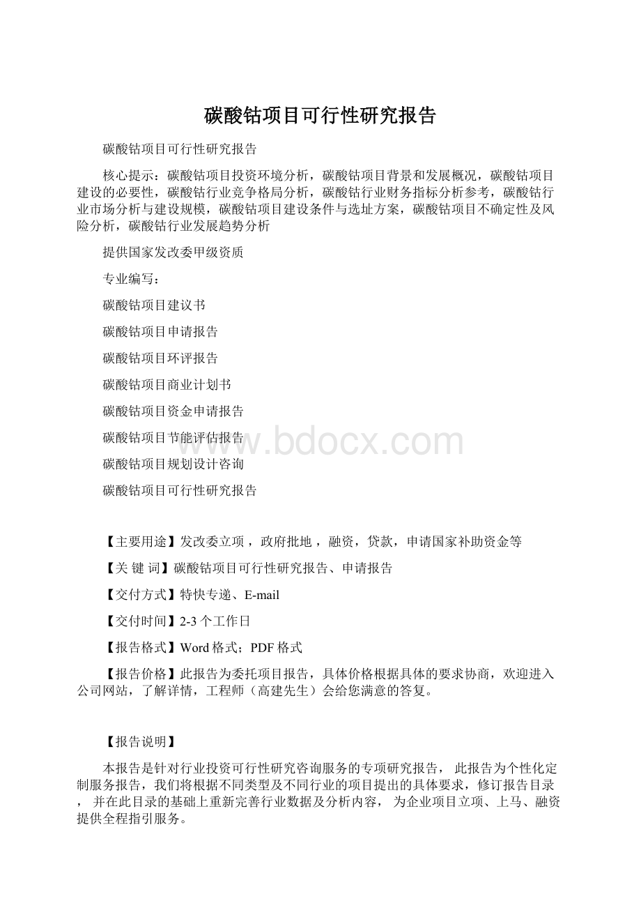 碳酸钴项目可行性研究报告.docx