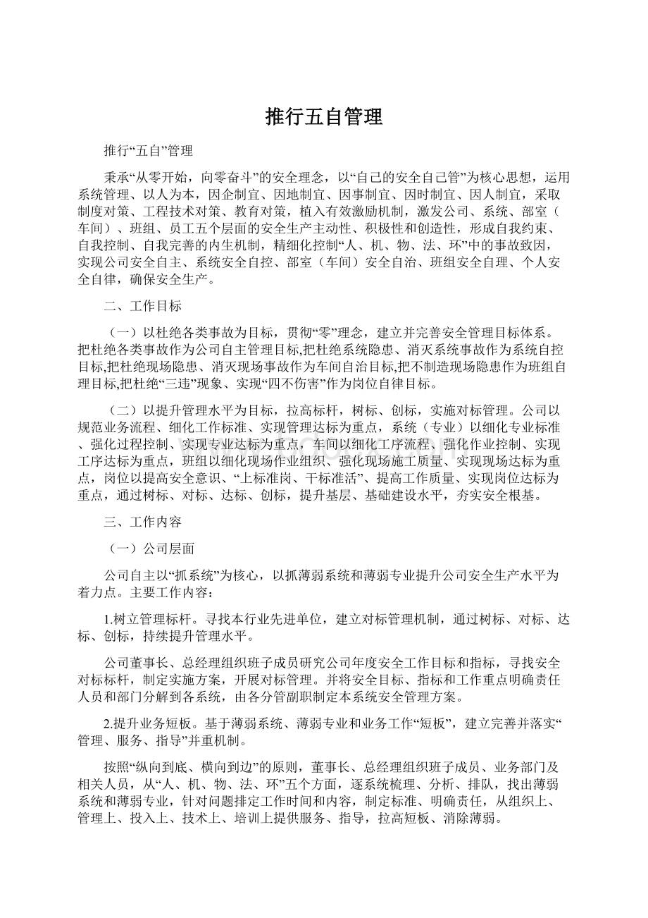 推行五自管理文档格式.docx_第1页