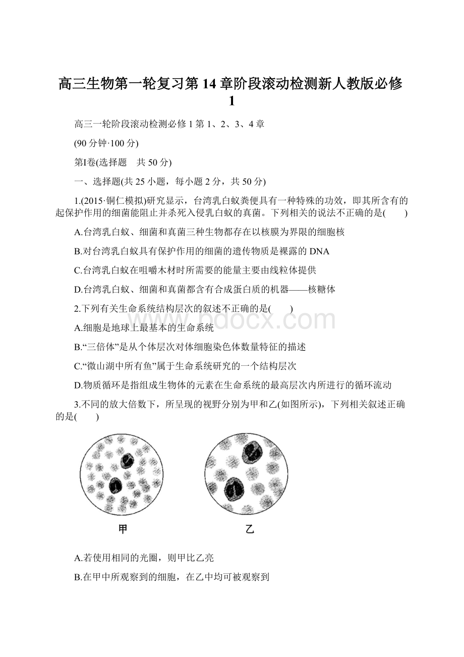 高三生物第一轮复习第14章阶段滚动检测新人教版必修1Word文件下载.docx