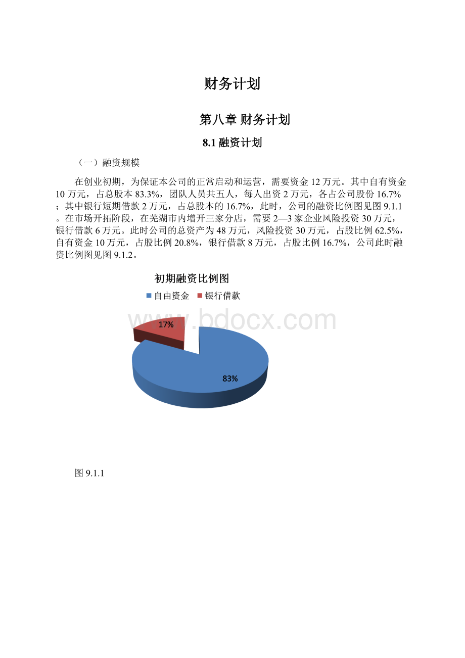 财务计划文档格式.docx