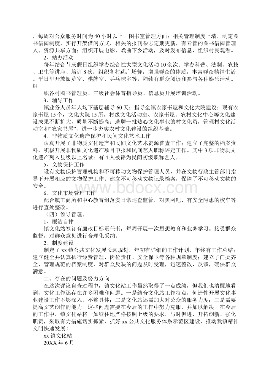 镇文化站自查报告.docx_第2页