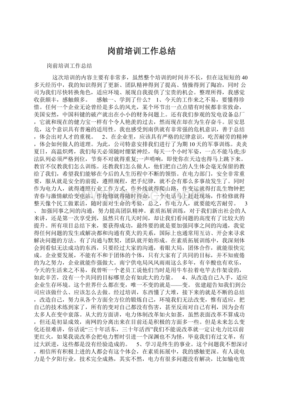 岗前培训工作总结Word格式文档下载.docx