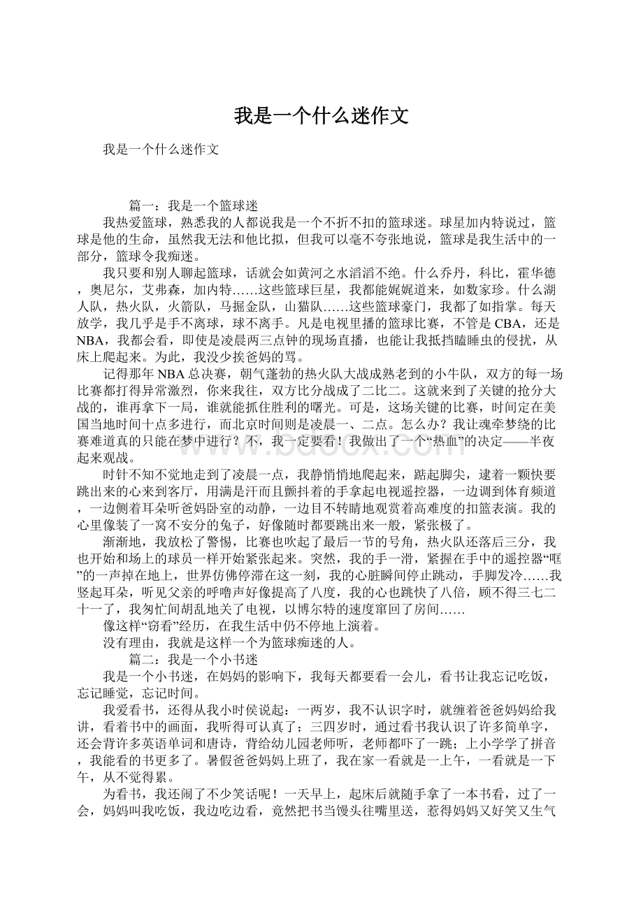 我是一个什么迷作文文档格式.docx