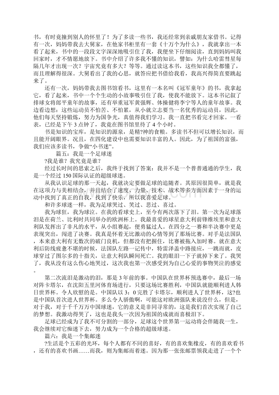 我是一个什么迷作文文档格式.docx_第3页