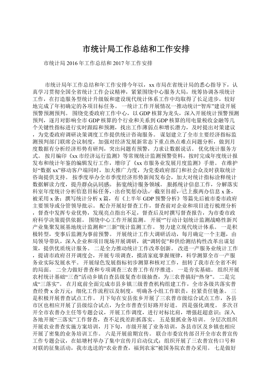 市统计局工作总结和工作安排Word文件下载.docx