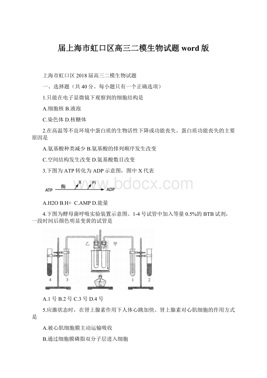 届上海市虹口区高三二模生物试题word版.docx_第1页