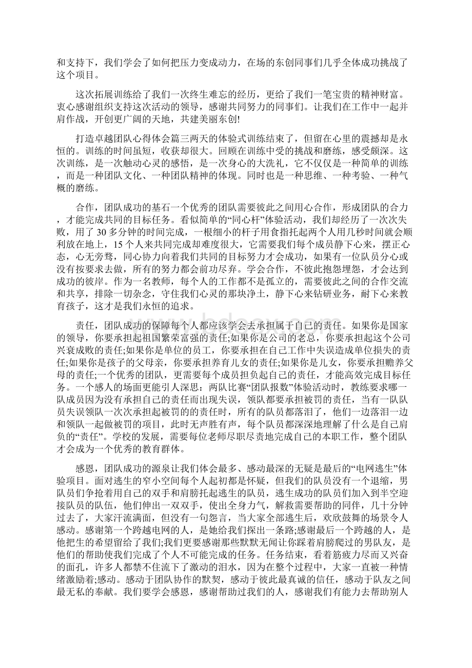 打造卓越团队心得体会文档格式.docx_第3页