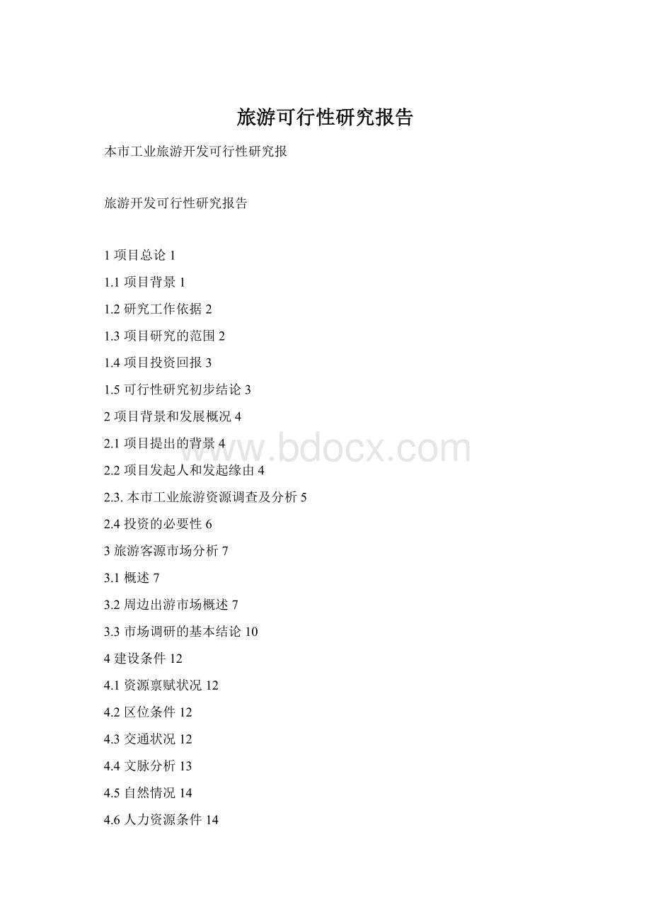 旅游可行性研究报告文档格式.docx_第1页