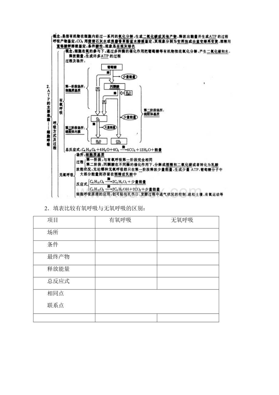 45细胞呼吸1.docx_第2页