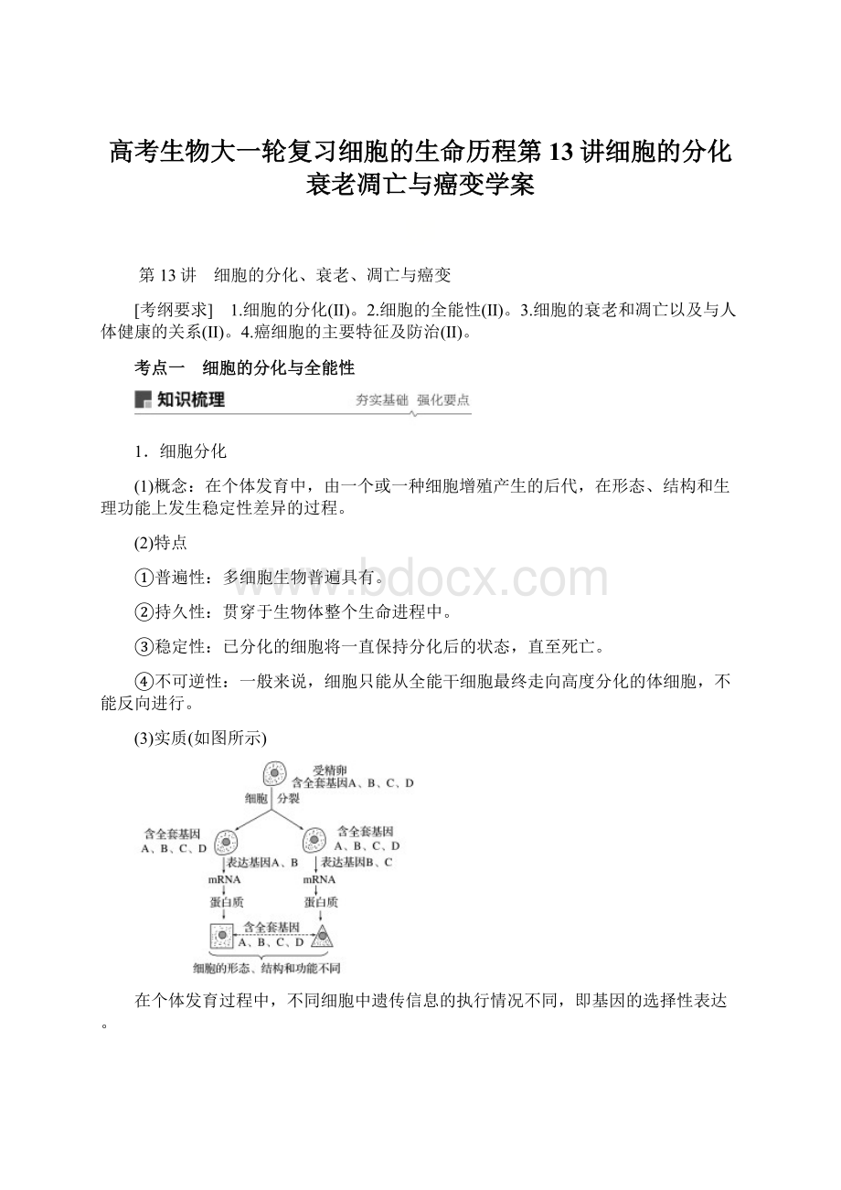 高考生物大一轮复习细胞的生命历程第13讲细胞的分化衰老凋亡与癌变学案.docx
