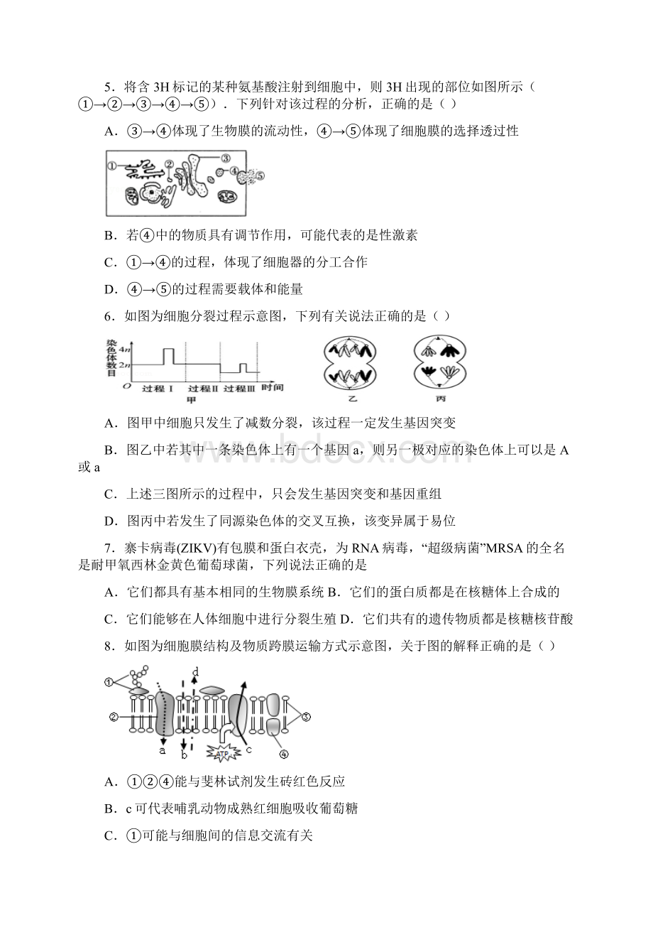 高三生物上学期期中试题1Word文档格式.docx_第3页