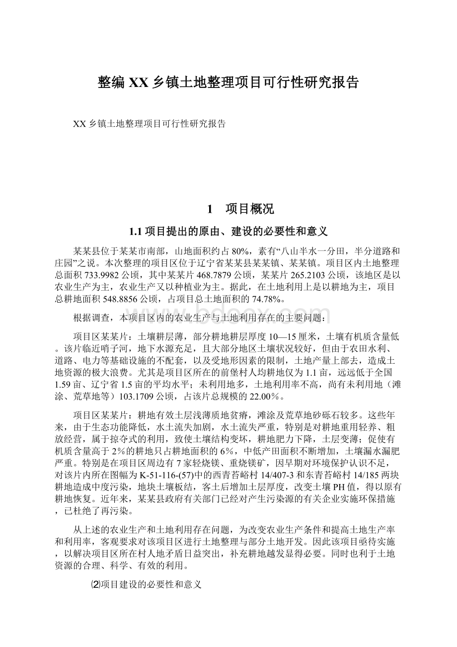 整编XX乡镇土地整理项目可行性研究报告.docx