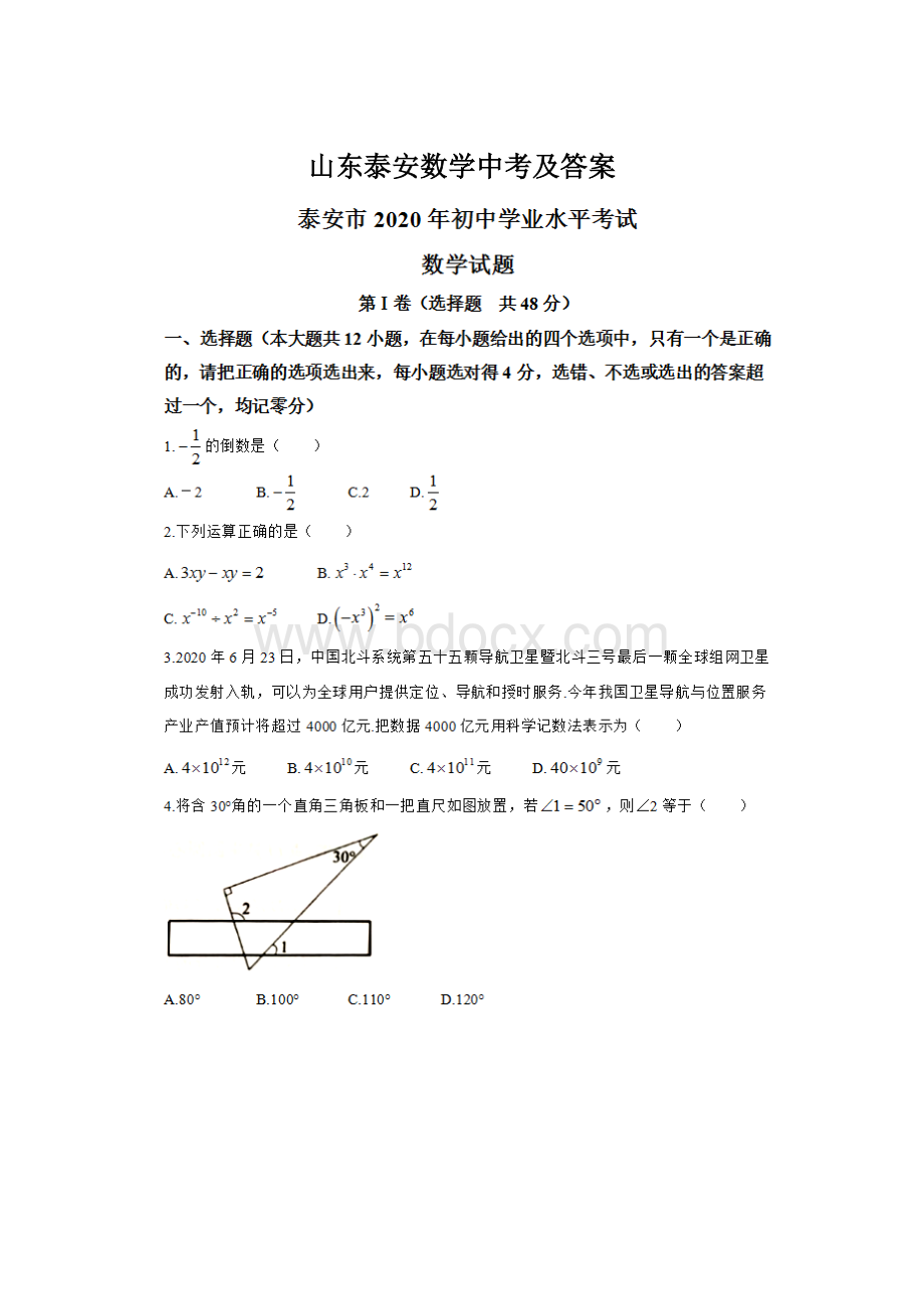 山东泰安数学中考及答案.docx_第1页