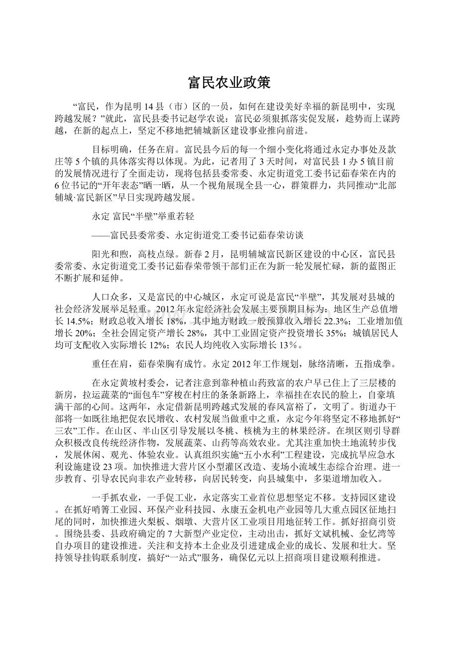 富民农业政策Word文件下载.docx