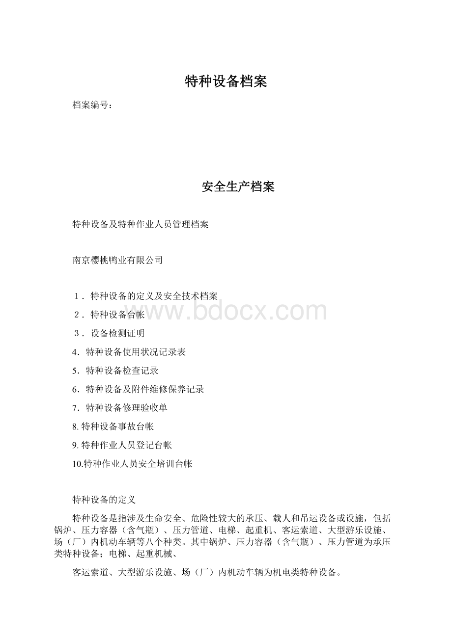 特种设备档案Word文档格式.docx