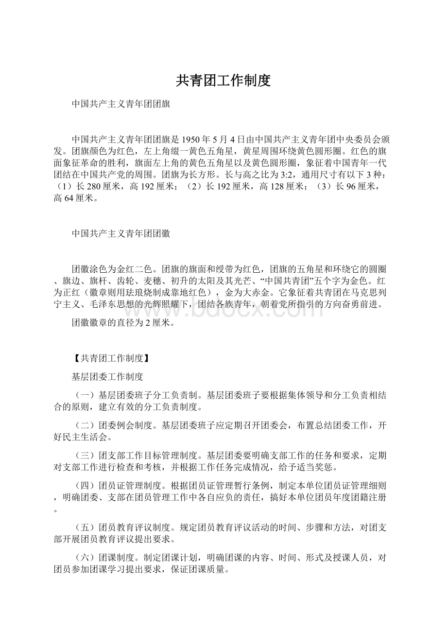 共青团工作制度Word文档格式.docx