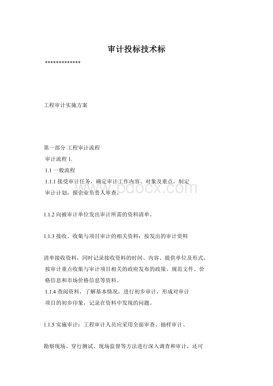 审计投标技术标Word文档格式.docx_第1页