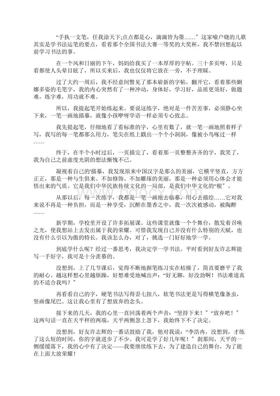 最新关于书法的作文15篇精选文档格式.docx_第2页