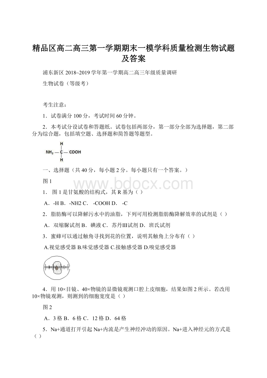 精品区高二高三第一学期期末一模学科质量检测生物试题及答案.docx_第1页