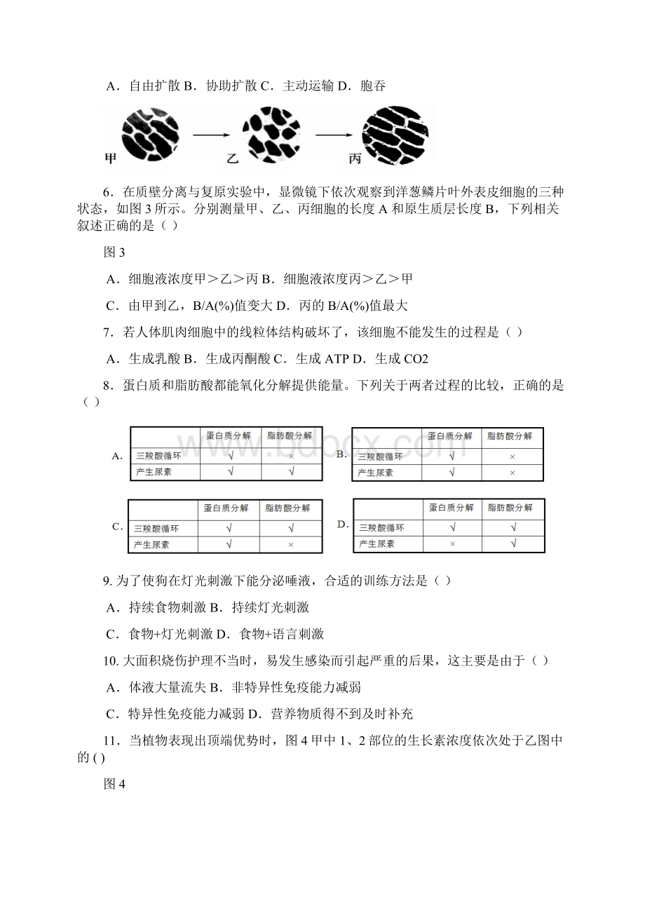 精品区高二高三第一学期期末一模学科质量检测生物试题及答案Word文档格式.docx_第2页