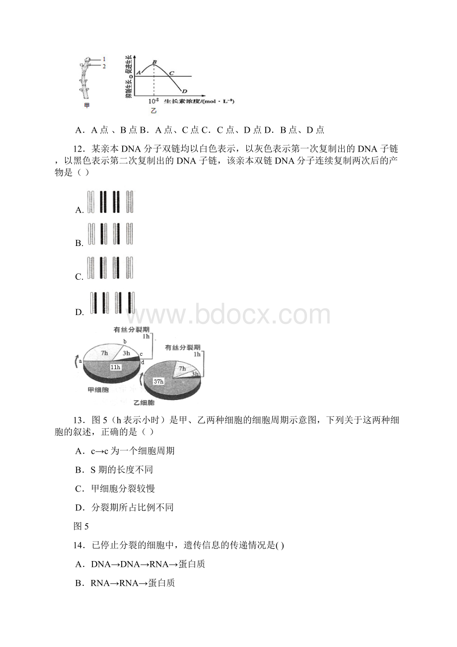 精品区高二高三第一学期期末一模学科质量检测生物试题及答案.docx_第3页