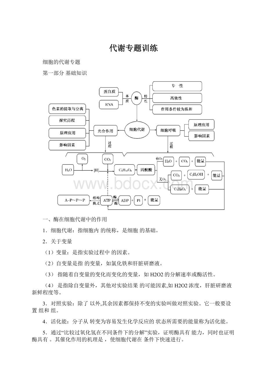 代谢专题训练.docx