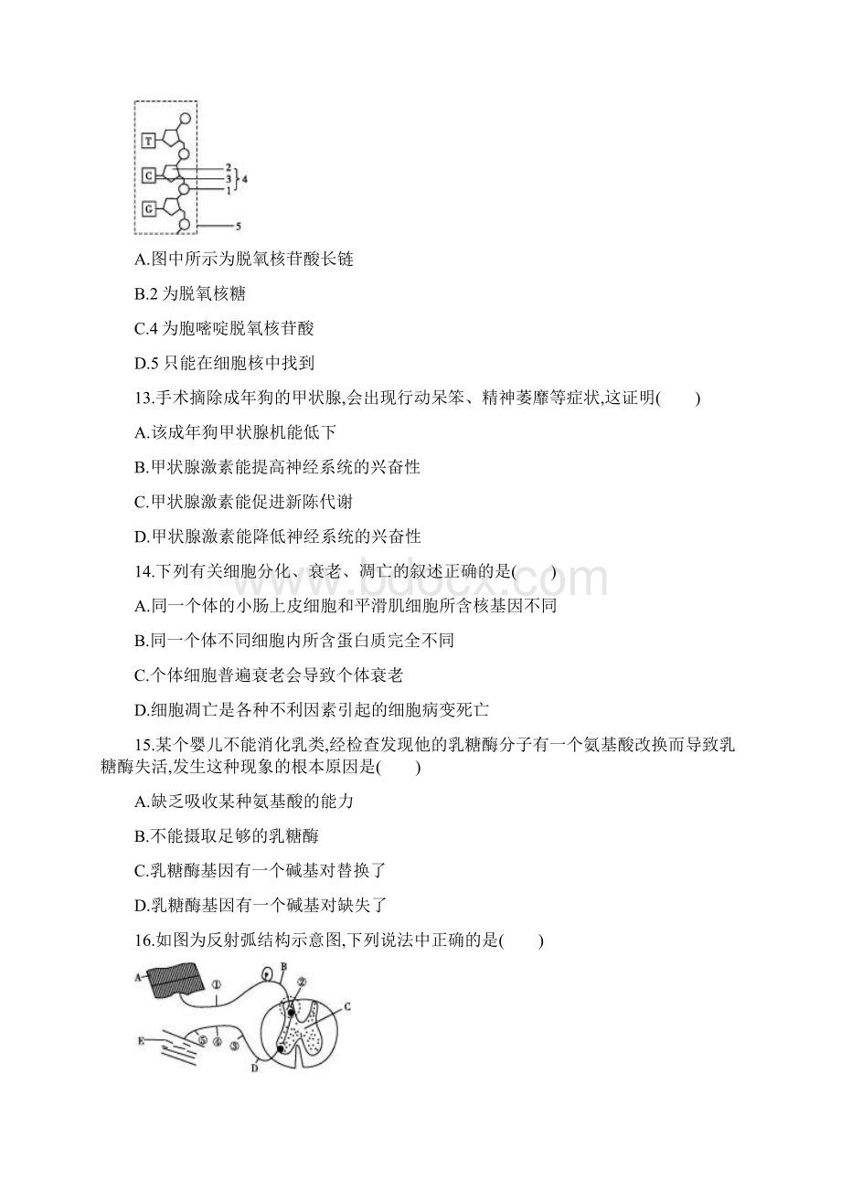 浙江普通高校招生选考仿真模拟卷Word文档下载推荐.docx_第3页