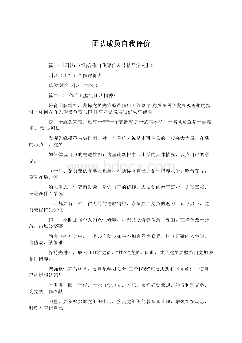 团队成员自我评价Word格式文档下载.docx