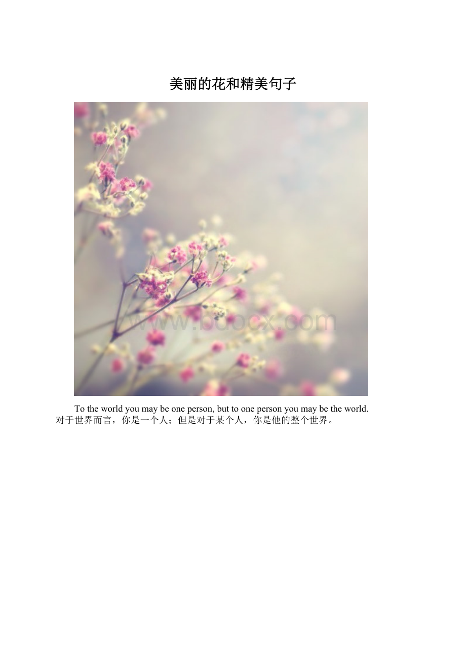 美丽的花和精美句子.docx_第1页