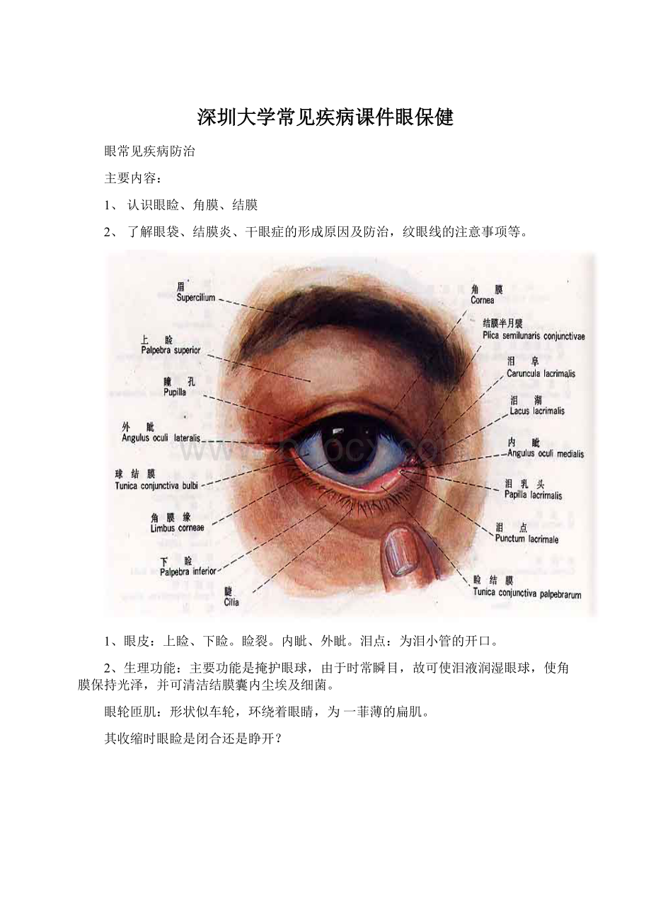 深圳大学常见疾病课件眼保健.docx_第1页