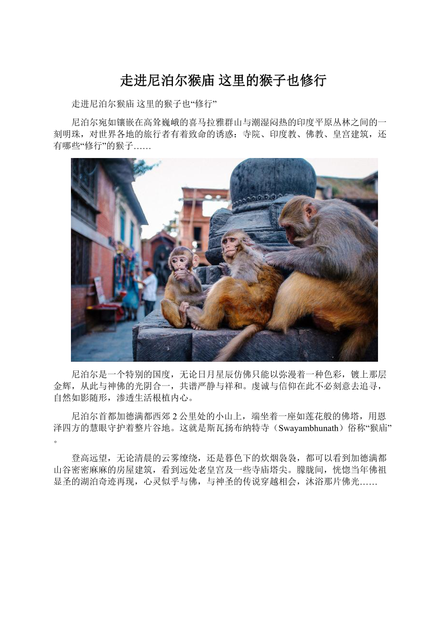走进尼泊尔猴庙 这里的猴子也修行.docx