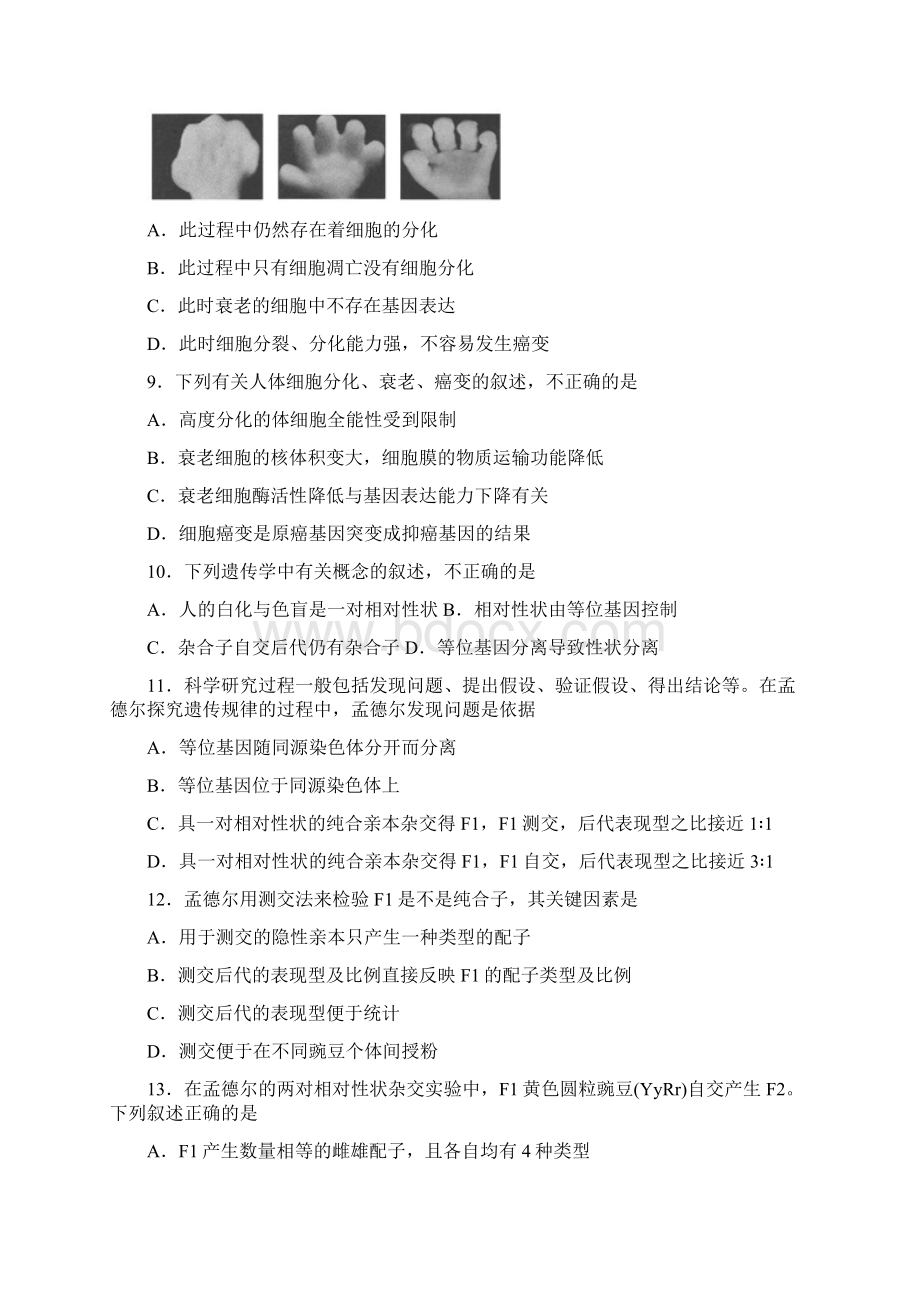 四川省遂宁市高中学年高一下学期期末教学水平监测生物试题Word版含答案Word文档下载推荐.docx_第3页