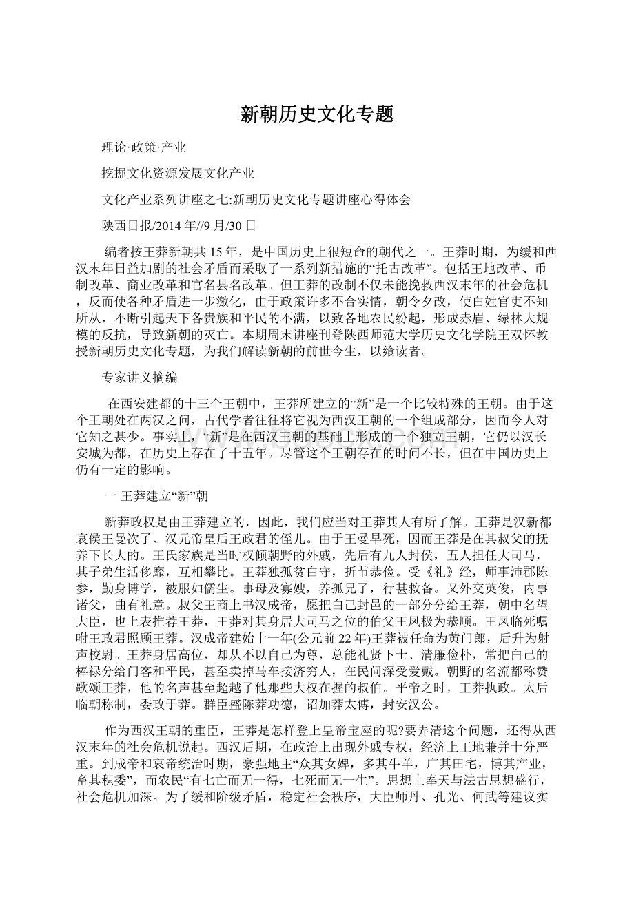 新朝历史文化专题Word文件下载.docx