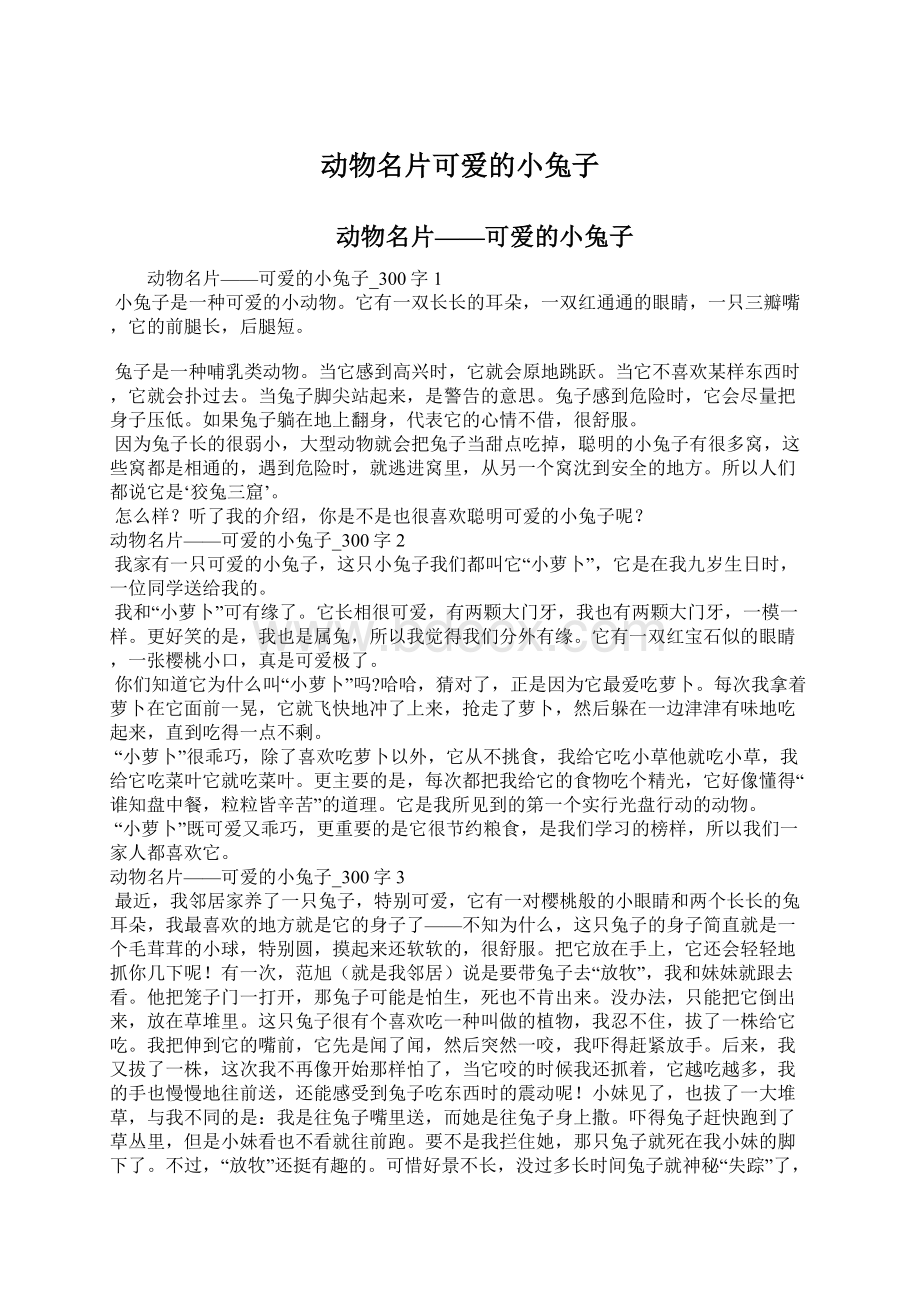 动物名片可爱的小兔子Word文件下载.docx