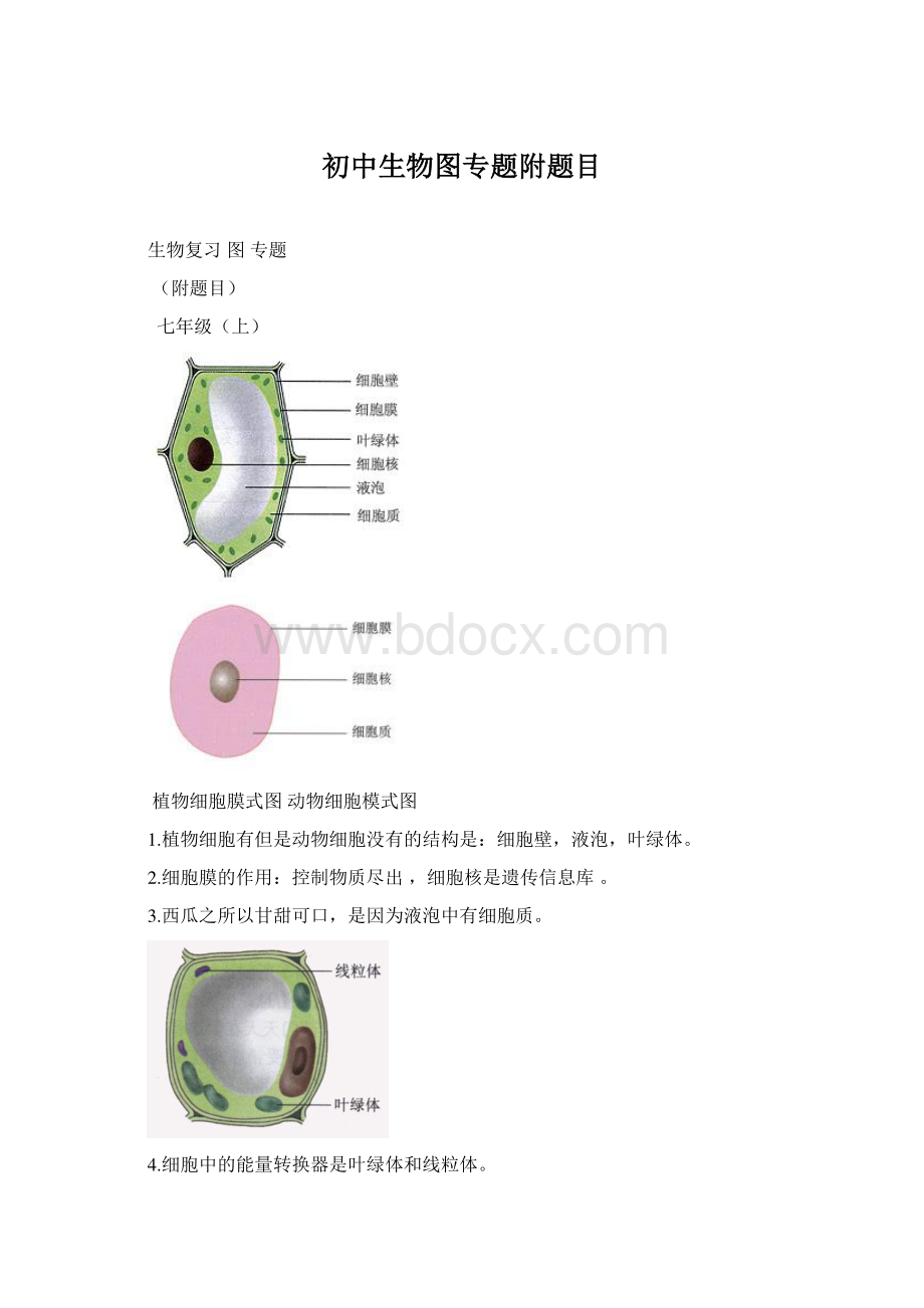 初中生物图专题附题目.docx