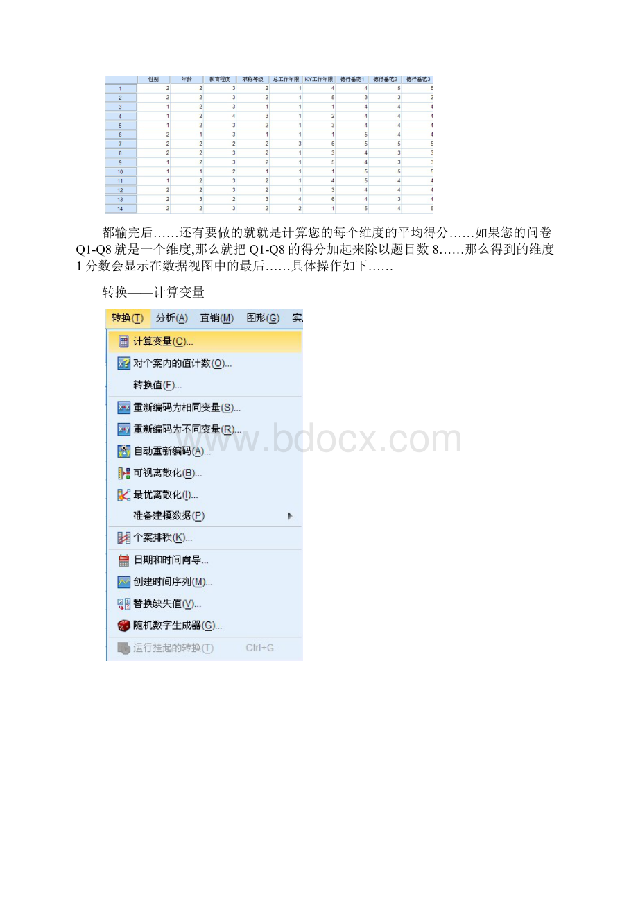 spss问卷处理方法46041.docx_第3页