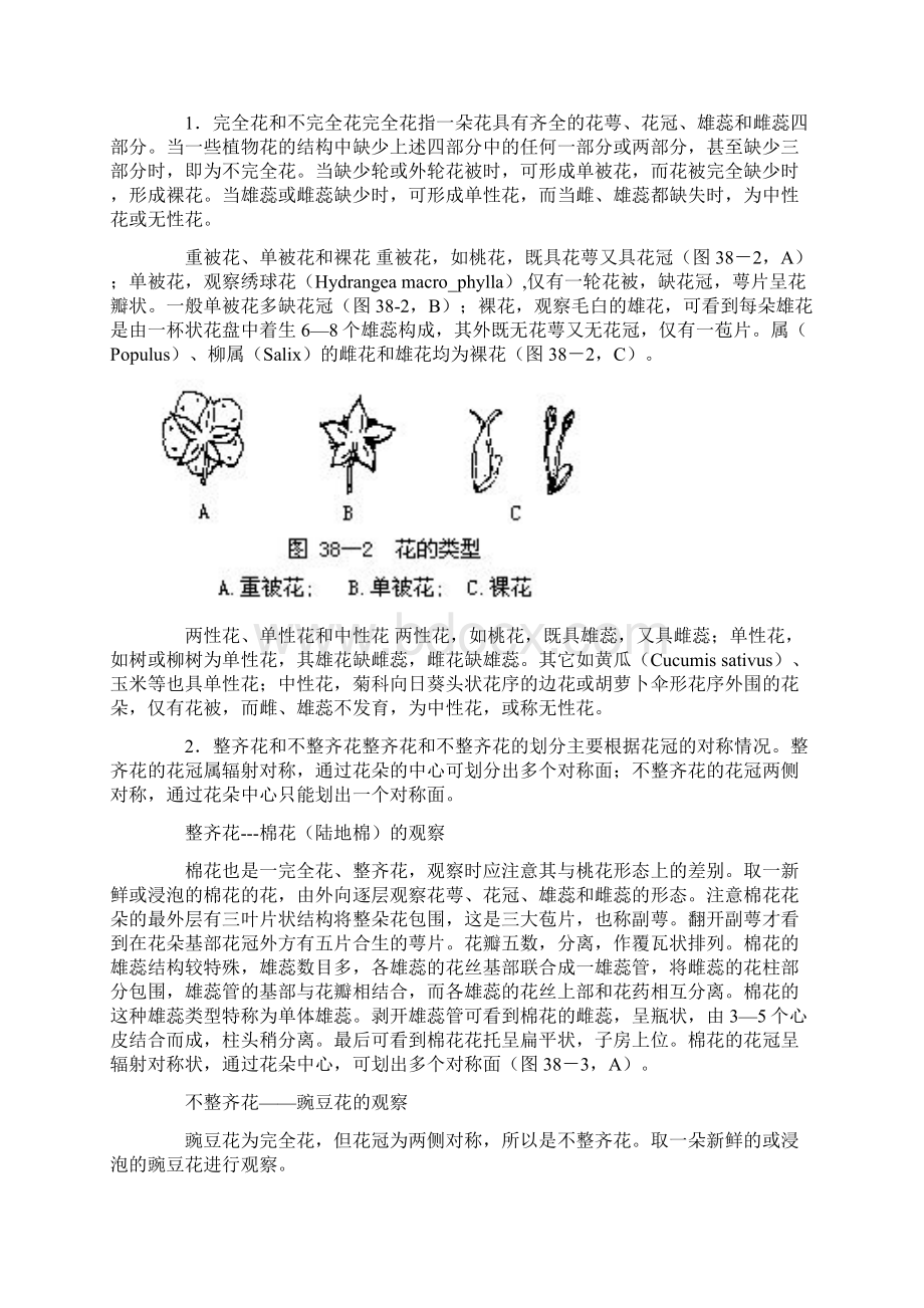 花的解剖结构.docx_第2页