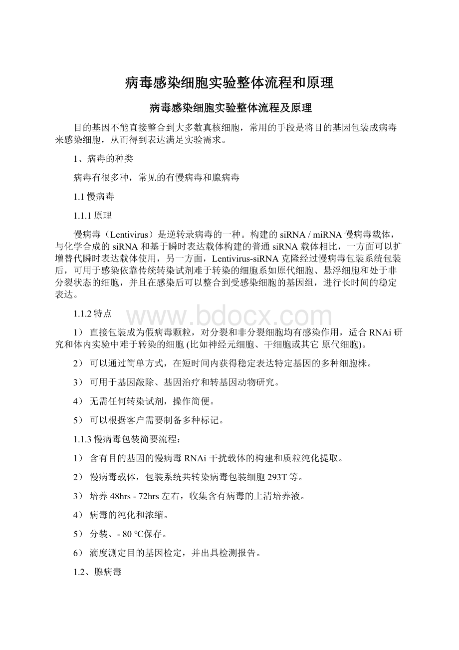 病毒感染细胞实验整体流程和原理.docx_第1页