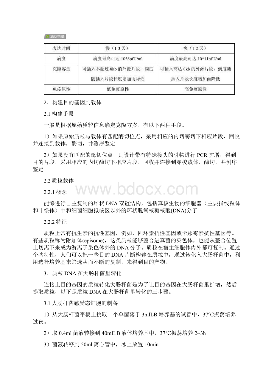 病毒感染细胞实验整体流程和原理.docx_第3页