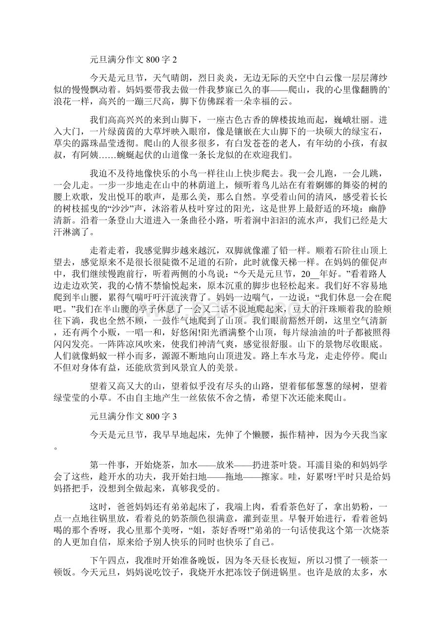 元旦作文800字初中五篇.docx_第2页