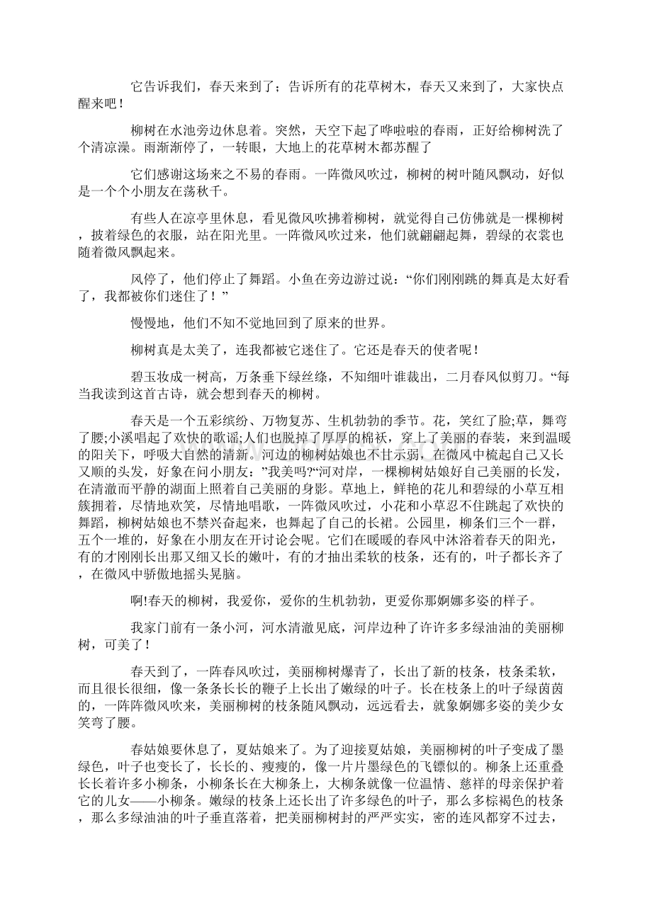 春天的柳树作文12篇Word格式文档下载.docx_第3页